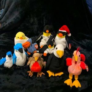 Beanie Babies “Bird” Collection